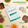 Smart Matcha Premium Starter Kit - NEUBRAIN